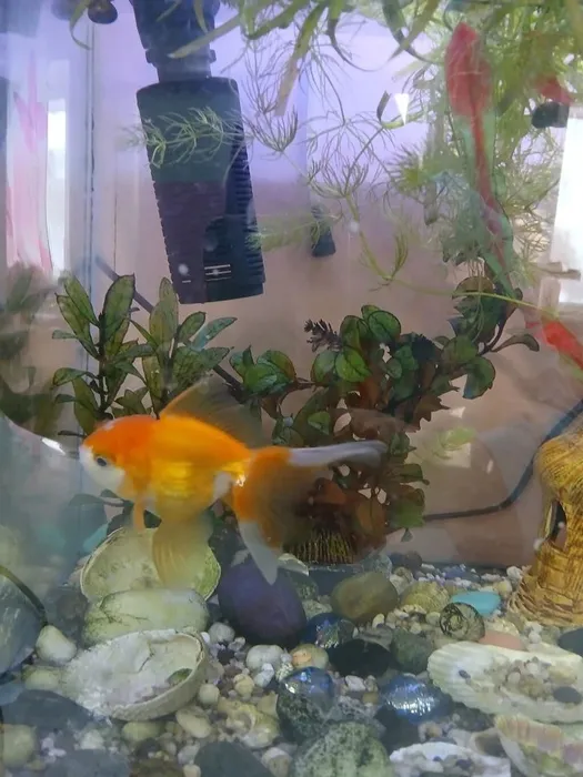 f2fcc153-21d6-4a51-9af2-a813c249ffe4