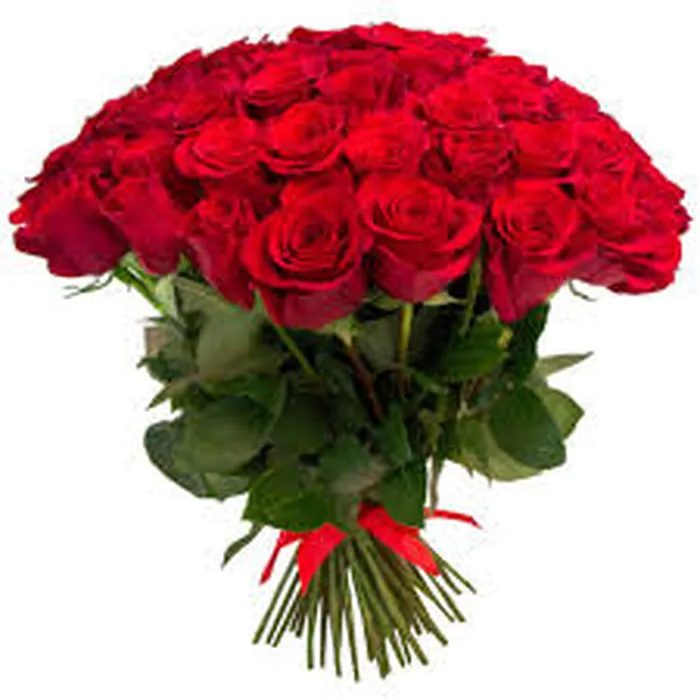 WhatsApp Image 2025-03-03 at 08.08.46