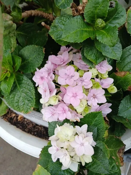 e0e6b022-6244-4cf0-ba1e-149968d6e958