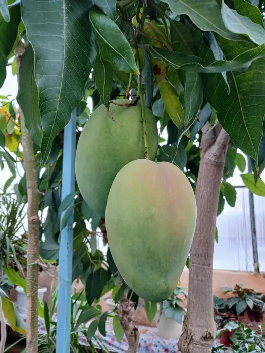 19e015a9-a425-4f8c-affc-76b91ebe13f4