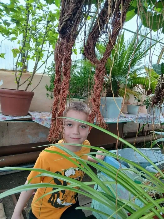 40963c19-f3b6-4feb-a27b-e711ff29ed8b