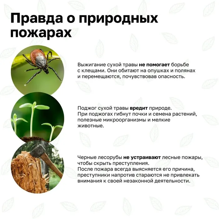 260cff0f-cc3e-4424-93cb-17b120a33fd9