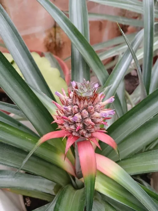 ab51cbc0-dc5b-47bf-b85c-92d9f8f948b7