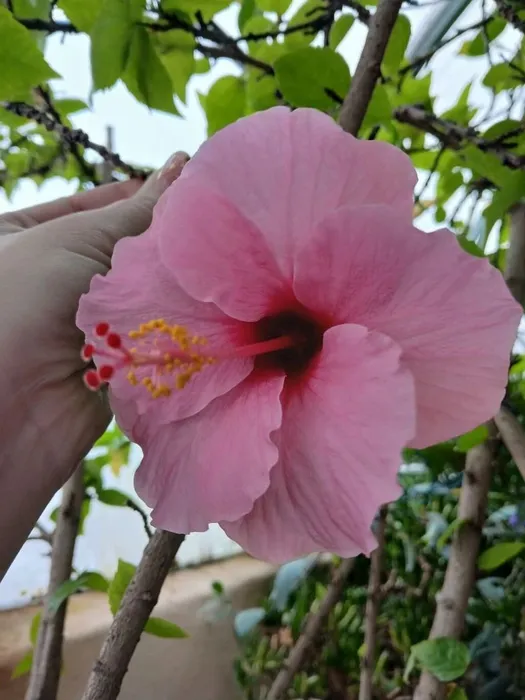 a093bf08-262b-4b00-ac51-bcf6cbfa26c2