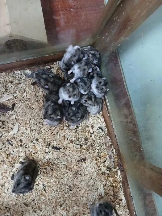 d67f2f51-9bd6-4845-aefd-991c9df66c03