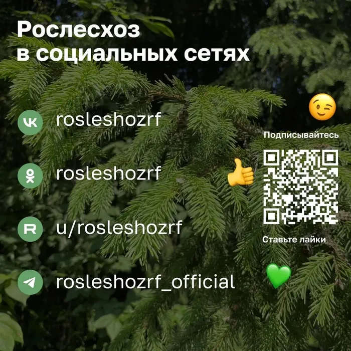 79e35e72-786e-4673-ab55-9f76da87cb96